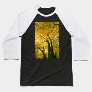 Autumn Leaves - Tree leaves changing colour Baseball T-Shirt